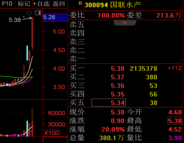 欧洲杯体育午后开盘1分钟内拉升至“20cm”涨停板-开云「中国大陆」kaiyun网页版登录入口